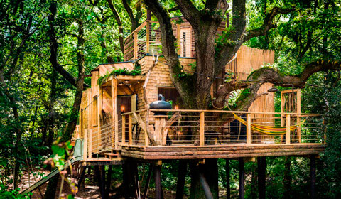  дом на дереве The Woodman's Treehouse   