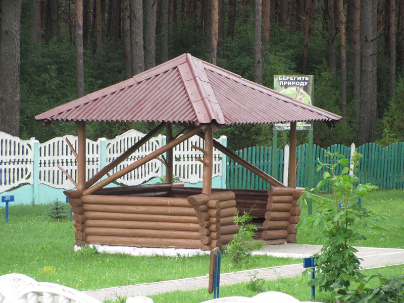 беседка  из окорённых стволов с ветвями 