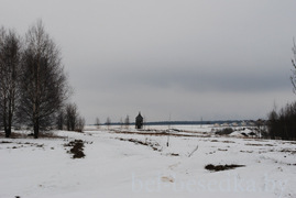  Преображенская церковь из д. Барань, сохранившиеся купол и барабан, фото  конца  2012 г 