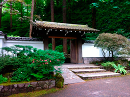   работа  Коичи Курису 2  